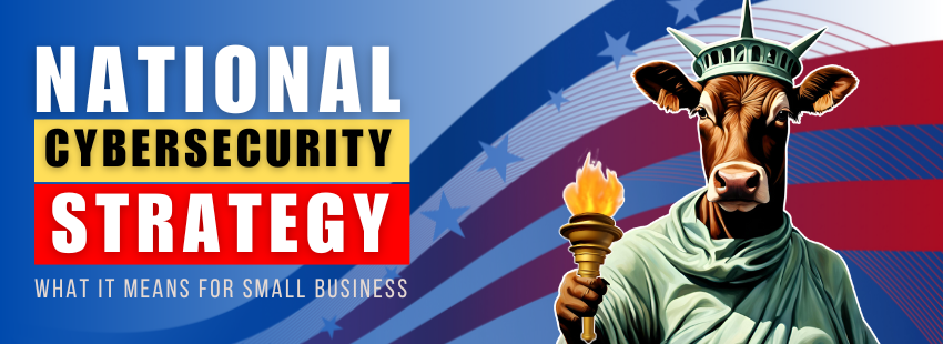 What the National Cybersecurity Strategy Means for Small Businesses